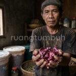 Proses pembuatan ZPT alami dari kulit bawang merah untuk merangsang bunga tanaman cabai dan mangga.