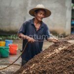 Proses pencampuran EM4 dan molase untuk fermentasi kotoran kambing secara organik di lahan pertanian.