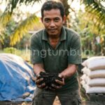 Proses pembuatan pupuk bokashi padat menggunakan EM4 dan dedak untuk pertanian organik.